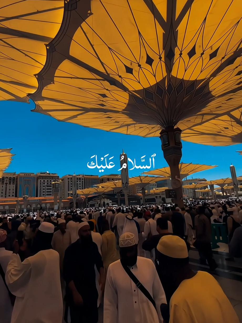 Qalbi Fil Madina  . . . . #nasheed #islamicstatus #viralvideos #maherzain  #moonbeats 
