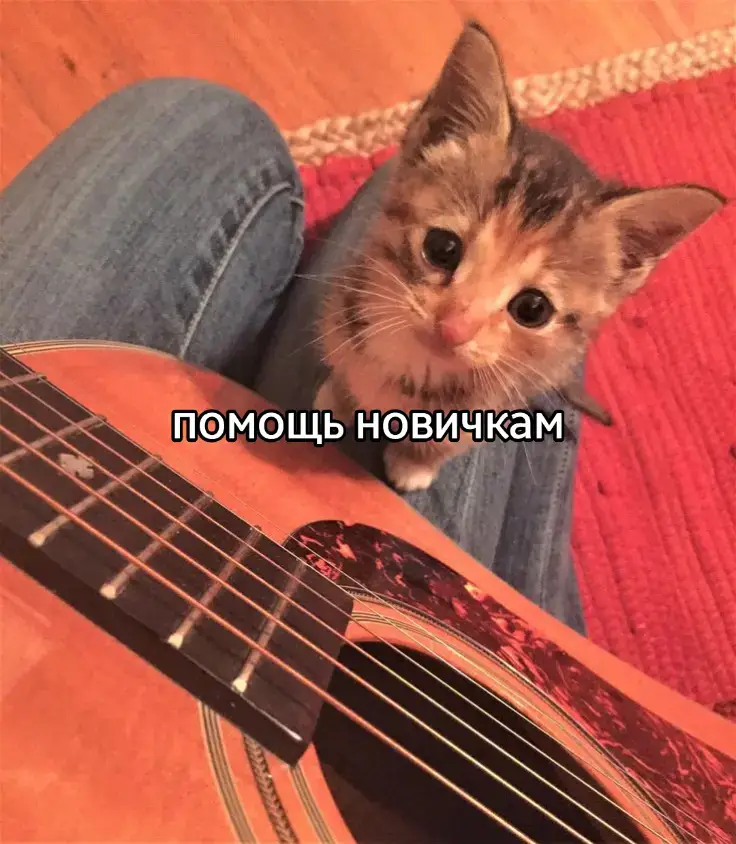 #аккорды #гитара #рекомендации #follow #pyf #or #viral #fup #elbruso #rge #бой 
