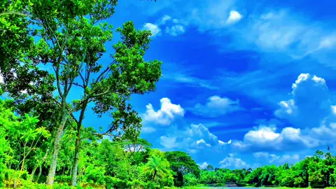 স্বপ্ন দেখো, কাজ করো, আর নিজের গল্প নিজেই লিখে ফেলো।”😊🌿 #প্রকৃতি #sky #unfrezzmyaccount #fyp #viral #foryou #viral_video_tiktok #foryoupage #tiktokbangladesh #greenscreen #trending #foryoupageofficiall 