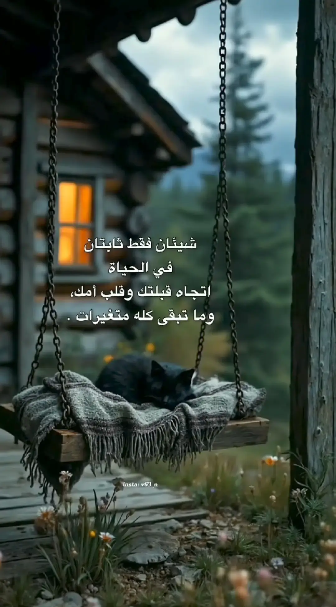 #لايك__explore___ #متابعه_ولايك_واكسبلور_احبكم 