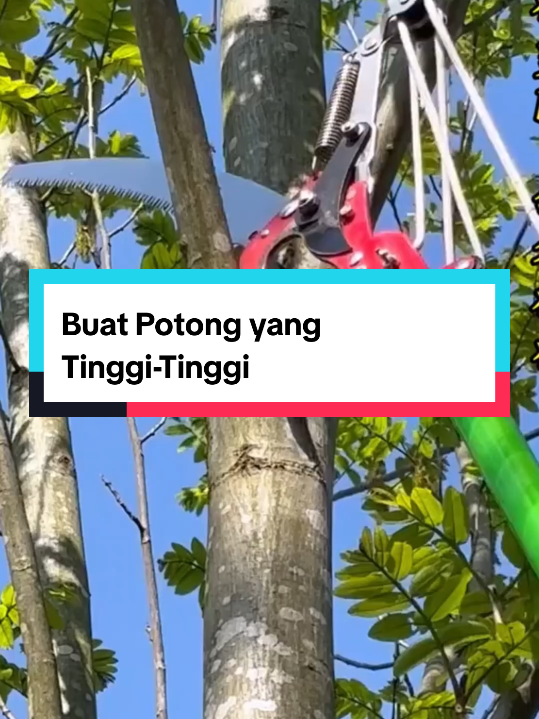 Untuk yang takut naik tangga #gergaji #gergajikayu 