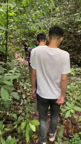 国内 昆明 版纳 南宁 万像 金三角 柬埔寨 泰国 缅甸 合作愉快安全到达付款✈️lxm990#上热门🔥 #会火🔥 