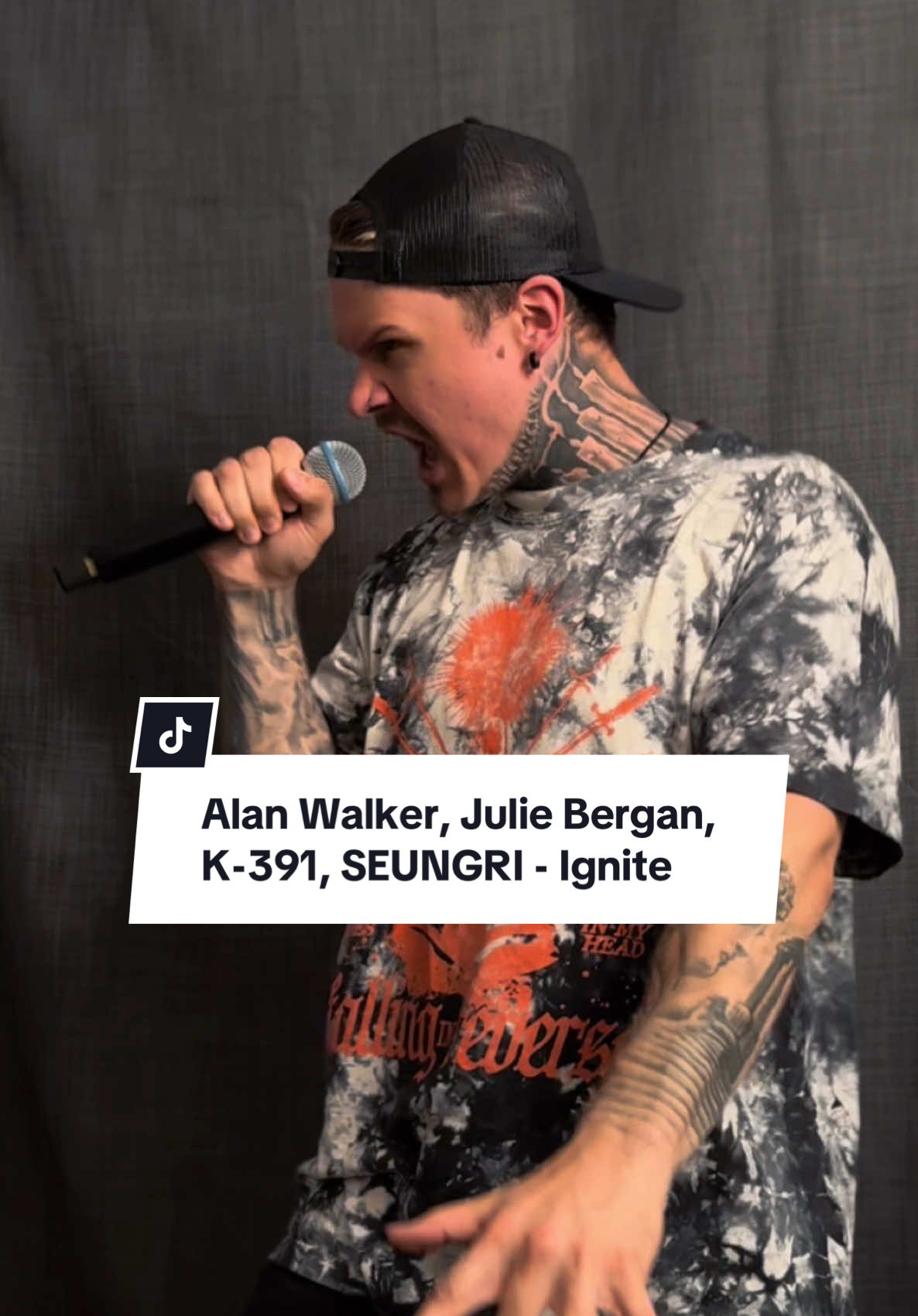 Alan Walker, Julie Bergan, K-391, SEUNGRI - Ignite 