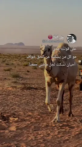 #على_قولت_جدي #عباراتكم_الفخمه📿📌 #على_البال #tiktok #viral #fypシ 