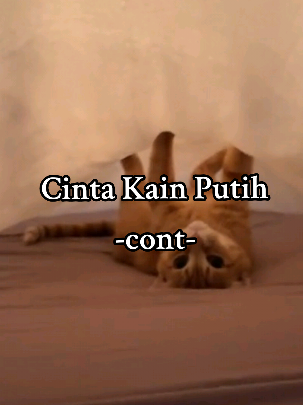 denga je takyah nyanyi #catmeme #dailylife #dailylifememe #cat #lyrics  #kucing #kucingtiktok #fyp #jiwang #putra #cintakainputih #tompokanoyen 