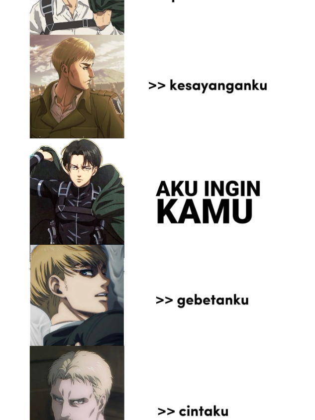para suami💕 #AttackOnTitan #shingekinokyojin 