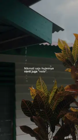 nikmati saja hujannya, nannti juga reda #CapCut #rain #hujan #rainday 