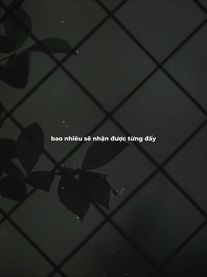 Người đời nói đúng không nên yêu thương ai quá nhiều... #trambuon12 #nghelasuy12 #tamtrang #SBKentertainment 
