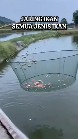 JARING KERAMBA SEMUA JENIS IKAN #jaringikan #kerambaikan #perangkapikan #bubuikan #bubuportabel #perangkapportabel #bubupayung #perangkappayung #portabel #viral #fyppp #beranda #tiktok #seindonesia 