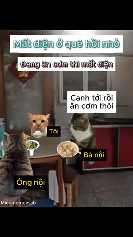 Mất điện ở quê hồi nhỏ #xh #trending #memes ##catmeme 