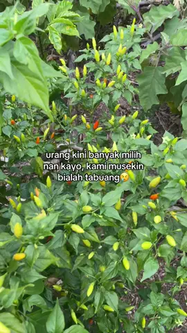 bialah🥲#fypdusun #dusun #gadisdusun #orangdusun #anakdusun #gadisdesa #pelosok #jambi 