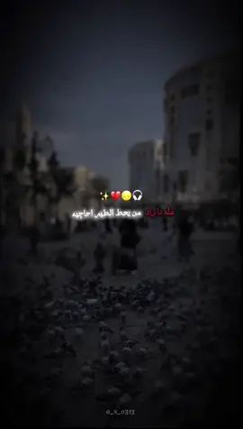 #عله _دارك _من _يحط_ الطير _احاچيه #مرتضى_حرب #تصميمي🎬 #لايك__explore___ #حسابي_جديد 