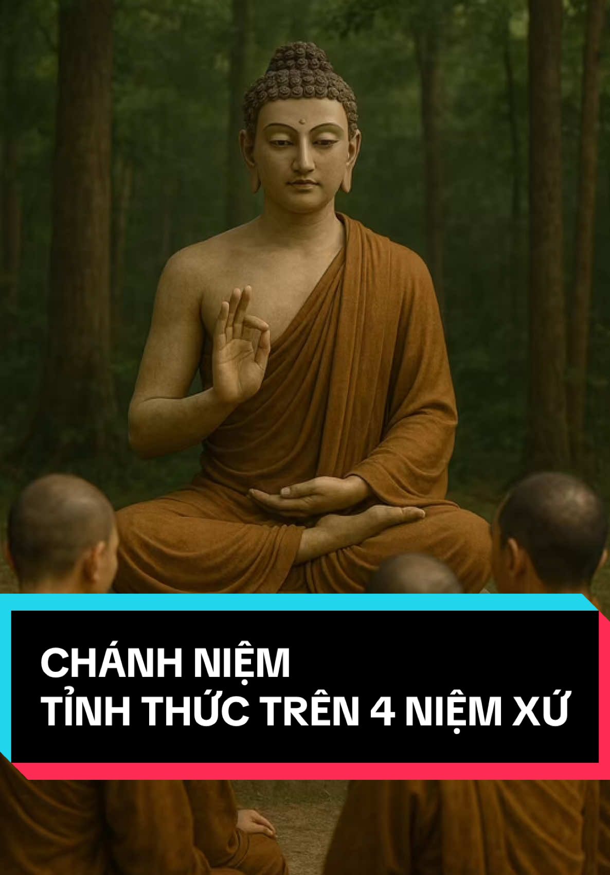Chỉ 7 ngày, nếu thực hành đúng Chánh Niệm… có thể chứng ngộ. Đây là con đường duy nhất Đức Phật dạy.#loiphatday #chanhphap #phatphap #tinhthuc #TikTokPhatPhap #fyp #phatgiao 