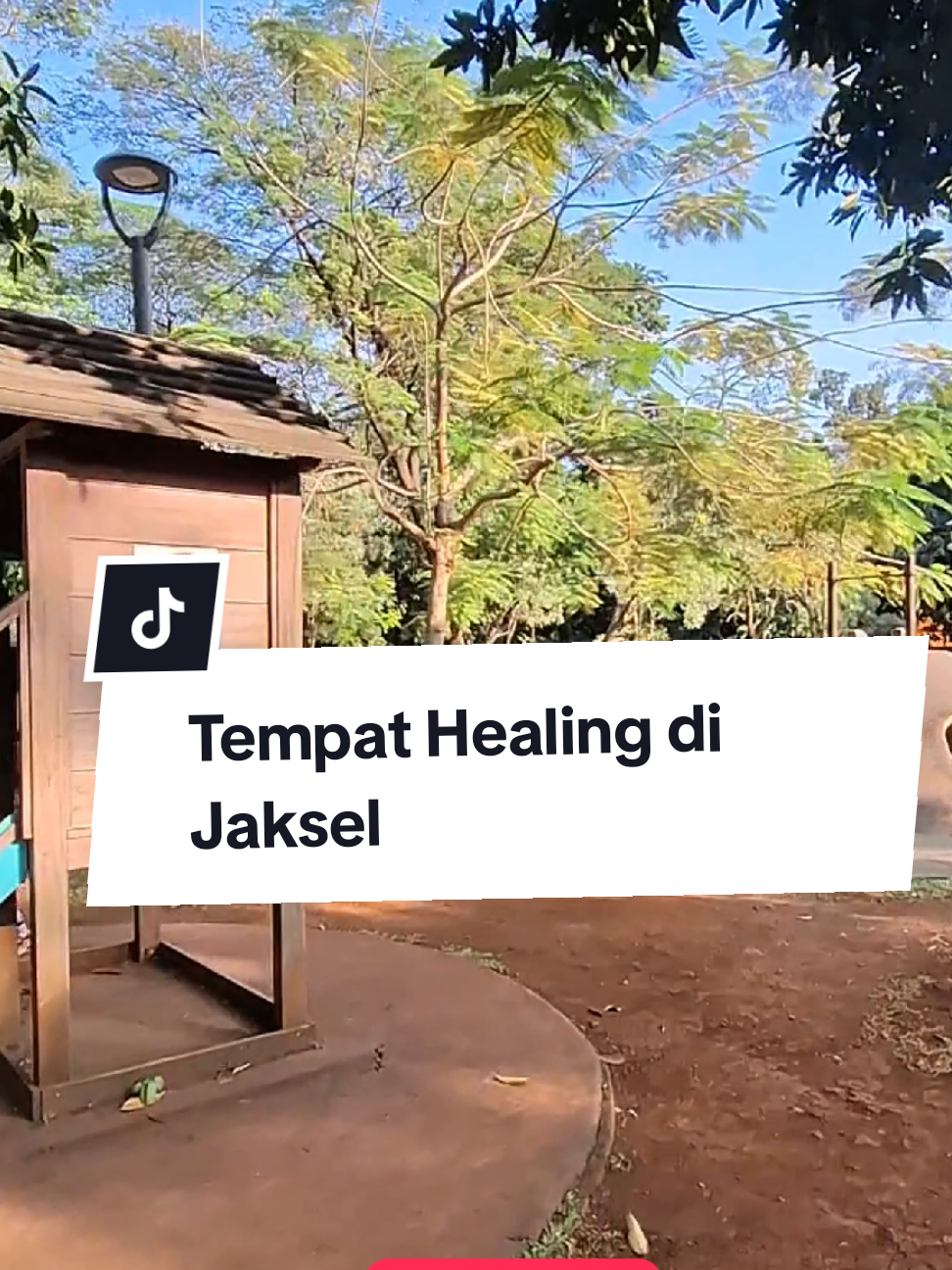 suasana pagi hari di Jam kerja,tebet eco park #healing #fyppppppppppppppppppppppp 