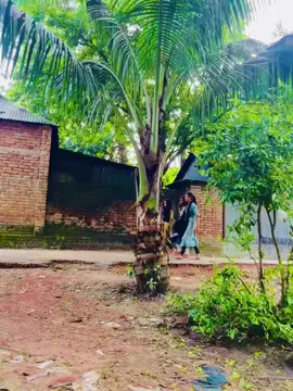 @😎,:দাদা ভাই :,😎 #