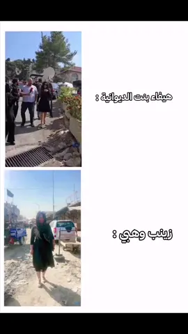 ويبقا السؤل من يقلد الثاني 😂 #هيفا_وهبي #زينب_بنت_الديوانيه #اكسبلورexplore #الشعب_الصيني_ماله_حل😂😂 #viral 