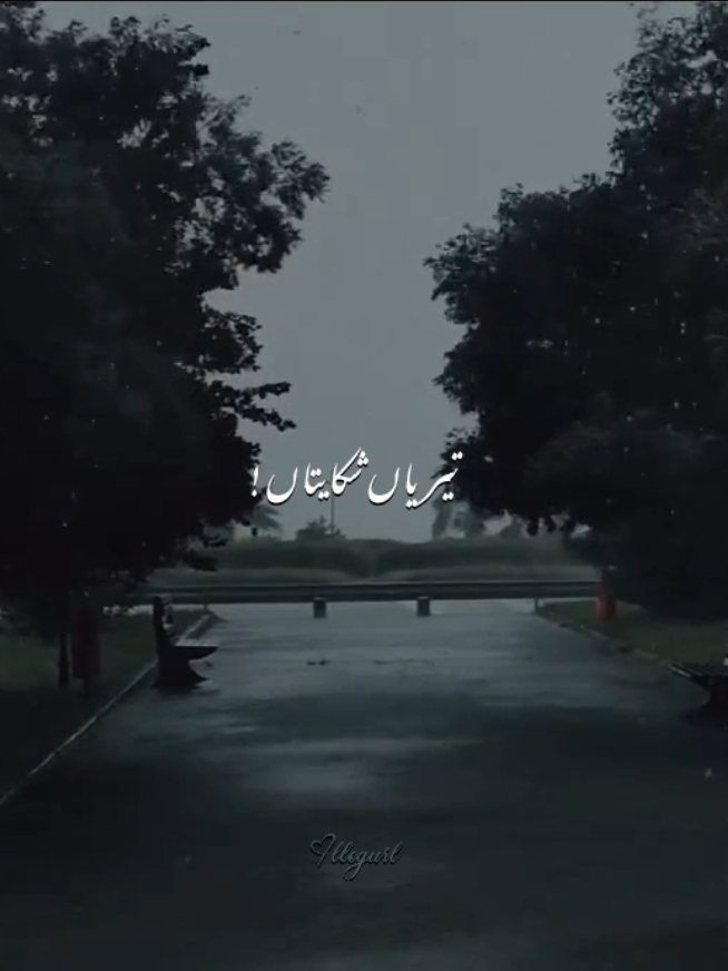 کیتیاں میں رب نال تیریاں شکایتاں @alirazamusic0 @ali&shjr  ..  #kths #illegurl_v #viral #fyp #goviral #famous #unfreezemyacount #song #lyrics #trending #unfrezzmyaccount 