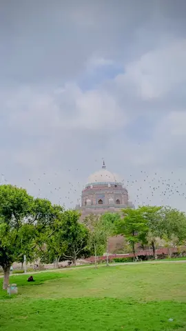 Multan❤️🕊️ #foryou #multan #bzu #views #viral #alimalik848 #foryoupageofficiall 