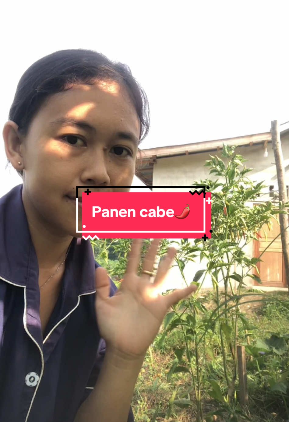 Panen cabe dulu gaesss. #irtproduktif #dayak #kebun #kabunmini #iburumahtangga 