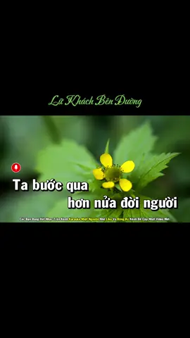 Lữ khách bên đường #kenhgiaitri #hong1986 