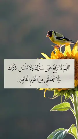 #_هاشتاقات 