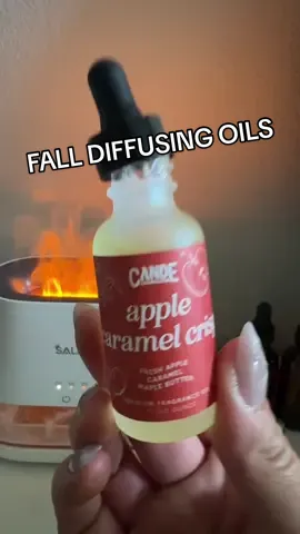 These fall diffuser oils are so fragrant and made my house smell like pumpkin cheesecake ALL day! #fallscents #falldiffuseroil #diffuseroils #fall #autumnscents #pumpkinseason #fragranceoils #cande #fallseason #tiktokshopcreatorfinds 