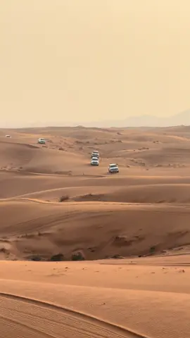 Booking Reservation 📲☎️ -Contact Us Now | Book Your Trip Now . 🏜️Desert safari  ☎️📲WhatsApp: +971501792333 *Everyday* ⏰Pick up Time: 3:30 - 4:00PM ⏰Drop Back Time: 10:00 - 10:30 PM Desert Safari Package Includes: *  Pick and Drop from your hotel/home. (Shared and private car both available) 🚗Red Sand Dune Bashing In At High Dunes. *  7+ Live Entertainment Shows  💃2 Belly Dance 🔥2 Fire Show                                                           🕺2 Tanoura Show, Yalla Dance, Mascot Show 🐫Short Camel Ride.  🏂Sand Boarding ✋ Henna Tattoo for Ladies/Kids  ☕️ Unlimited Water, Soft drinks, Tea & Coffee in camp 🏕️  📸Sunset Photography (with your own camera) 🍟I 15+ items Buffet Dinner, Vegetarian & Non-Vegetarian with BBQ *Free Arabic hookah in a designated area. Up to 3 years old kids are free /OUT Quad bike and buggy tour(extra cost) Licensed and Professional Drivers. Licensed Company In Dubai Tourism Depart. Sanitized Vehicles. 🚗  Separate Toilets for Men and women. • Neat and Clean Desert Camp.🏕️  NOTE: *No Cancellation Or any other Changes at same day. That will be fully charged* Desert Safari Dubai🏜️ T #dubai #mydubai #dubailife #dubaimall #dubaifashion #dubaimarina #dubaistyle #dubaiblogger #dubailifestyle #visitdubai #dubaievents #dubaiinstagram #instadubai #downtowndubai #dubaiphotographer #dubailuxury #dubaifashionblogger #lovedubai #dubaibloggers #indubai #dubaidesert #burjkhalifa #burjalarab #desert #desertsafari #desertdubai #dubaimall