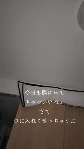 猫を口に入れて吸う。深呼吸するみてーにな #猫  #猫あるある #茶トラ猫 