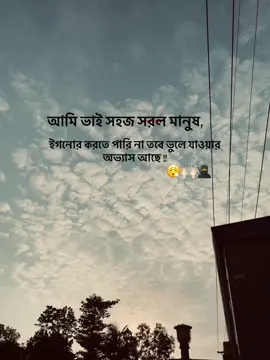 আমি ভাই সহজ সরল মানুষ, ইগনোর করতে পারি না তবে ভুলে যাওয়ার অভ্যাস আছে 🔥☠️                                            #foryou #fypシ #viral 