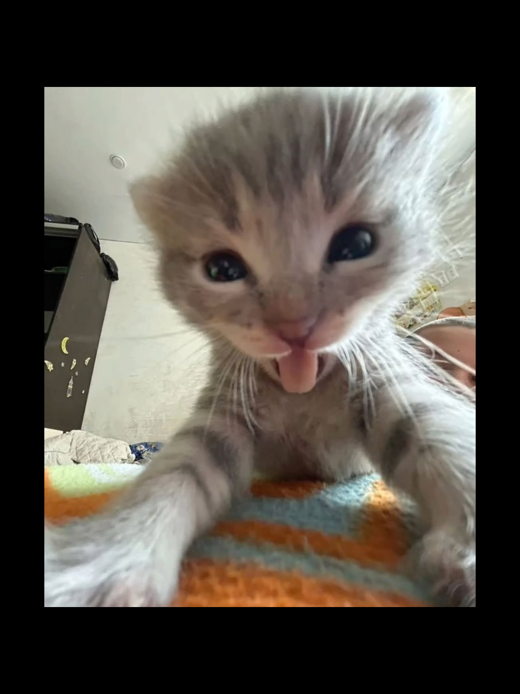видео с текстом е мое #осд #биллихеррингтон #эддимансон #джонатан 