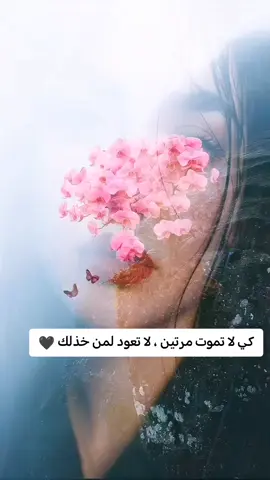 #كاظم_الساهر #كاظم_الساهر_اكسبلور #كاظم #وعندك_عين #عندك_عين_تعاتبني #sara 
