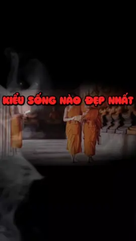 KIỂU SỐNG NÀO ĐẸP NHẤT #CapCut #viral #tinhthuc260690 #phatphapnhiemmau #fyp #adidaphat🙏🙏🙏 #phatgiao 