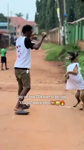 Doggy steps no cap!!!!🐕🌚😹🔥....#chizzy_raves01 #dogdance #kelebudance #rema #fyp #viral @Rema 