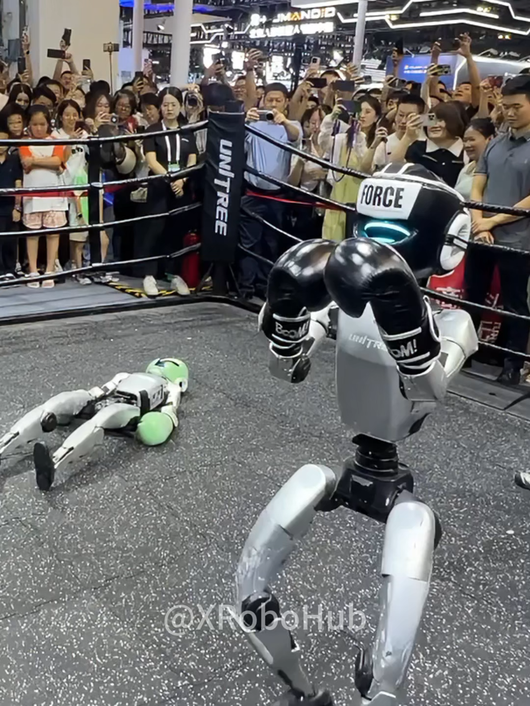 🔥🤖 3 KOs?! This Robot Boxing Match Went WILD!🥊 #robotfights#humanoidrobot #unitree