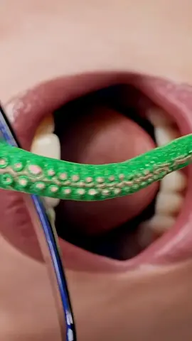 what happens if you eat a live octopus #zackdfilms #3danimation #animation #DidYouKnow #fyp 