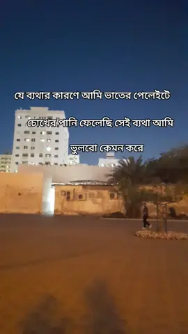 #প্রবাসী #ভাইরাল_ভিডিও #সবাই_একটু_সাপোর্ট_করবেন_প্লিজ #যে_ব্যথার_কারণে_আমি_ভাতের_পেলেইটে #চোখের_পানি_ফেলেছি_সেই_ব্যথা_আমি #ভুলবো_কেমন_করে 