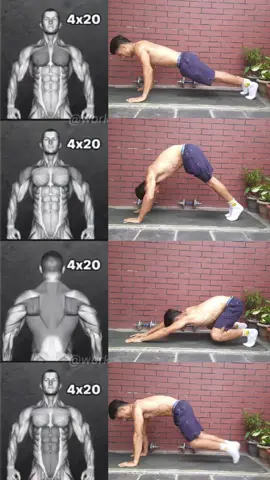 Upper Body Workout 💪 (Shoulder + Chest + Back + Abs) ✅️