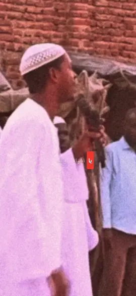 إِنَّ ٱللَّهَ لَا يَغْفِرُ أَن يُشْرَكَ بِهِۦ وَيَغْفِرُ مَا دُونَ ذَٰلِكَ لِمَن يَشَآءُ ۚ وَمَن يُشْرِكْ بِٱللَّهِ فَقَدْ ضَلَّ ضَلَٰلًۢا بَعِيدًا، #الشيخ_شهاب_عوض #شهاب_عوض_حفظه_الله_تعالى #السودان_مشاهير_تيك_توك🇦🇪🇦🇪 #التوحيد_حق_اللّٰه_على_العبيد👆 #المنهج_السلفي #السلفية_منهجنا #المنهج_السلفي 