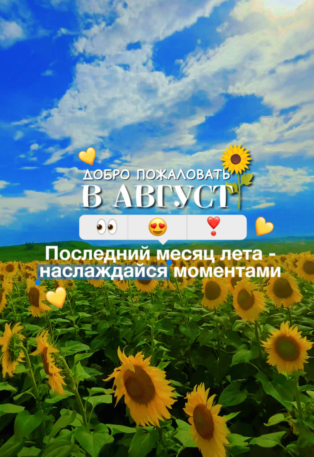 ДЕЛАЙ РЕПОСТ, ВСТРЕЧАЙ АВГУСТ!🌻🤗💛 #приветавгуст#август#летонеуходи#лето#подсолнухи#моментылета#эстетика#красивыевидео#видеодлясторис#рекомендации 