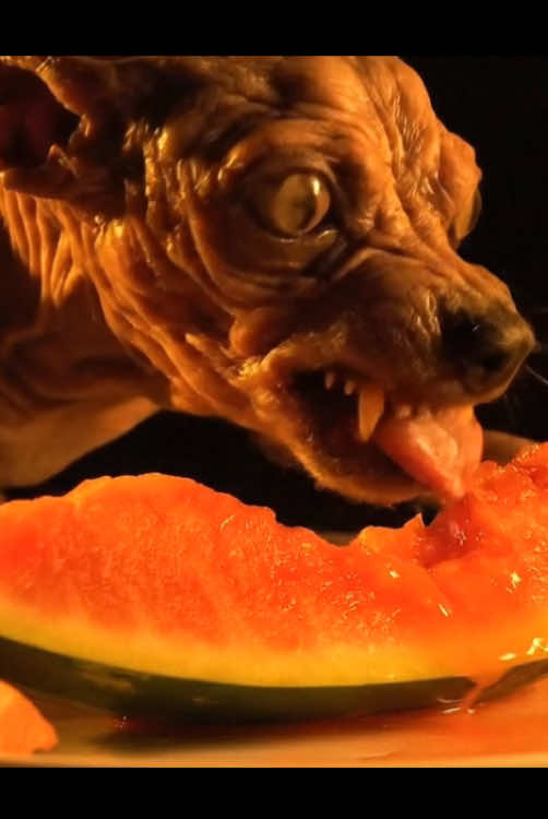 Oh My Doggg#terror #aiart #surreal #fentysuperbrandday #horror 