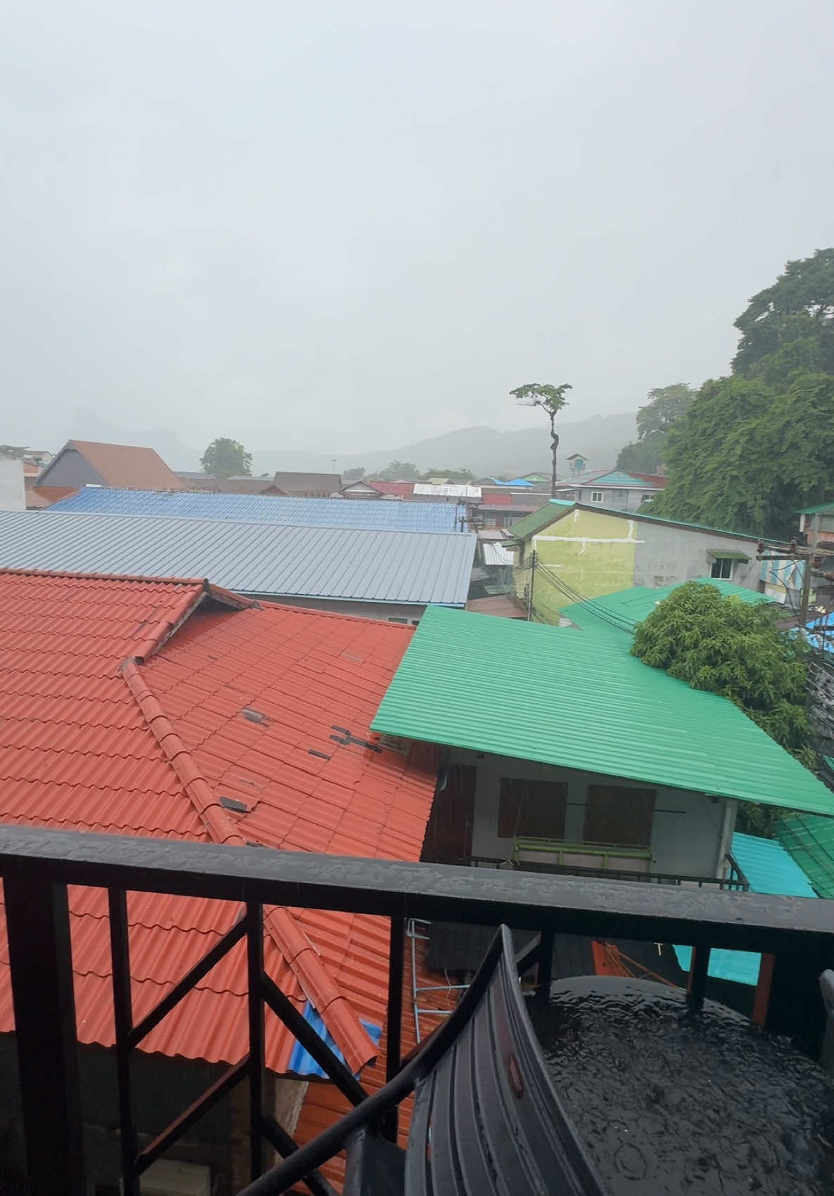 POV: Checking into your hotel in Phi Phi 🏝️🌧️🐒 @chaokohgroup, Phi Phi Islands 📍 . . #traveltwice #sunrise #thailand #traveltiktok #views #thailandviews #fyp #hotelroom #phiphiisland #tropicalrain #rainy #travelvlog #hotelreview 
