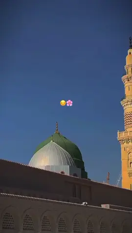 اے کاش کہ محفل ہو ابر بکر و عمر کی ☺️🌸 . . . #viral_video_tiktok #tranding #grow #itx_hassan_raza_official #اللهم_صلي_على_نبينا_محمد #رسول_الله_صلى_الله_عليه_وسلم #accountfreezed #tiktokunfreezemyaacount #foryoupageofficiall❤️❤️tiktok #viewsproblem😭 #unfreezemyacount 
