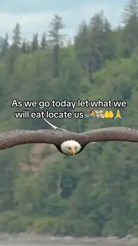 As we go today let what we will eat locate us 🧜‍♀️💸🤲🙏#Africanculture #Ezeaniogbuefi #fyp 