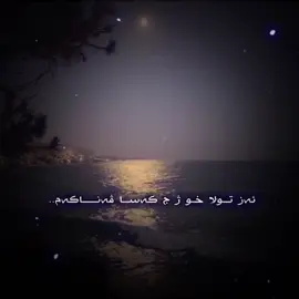 ......𝟕;𝟎𝟑....