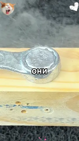 (2/2 часть) Отец завещал мне дом после своей смерти, но мама выгнала меня, чтобы жить там с её новой семьёй. 15 лет спустя я попытался вернуть свой дом, но они начали мне угрожать, поэтому я обратился в полицию #реддит #семья #дом #отец #завещание