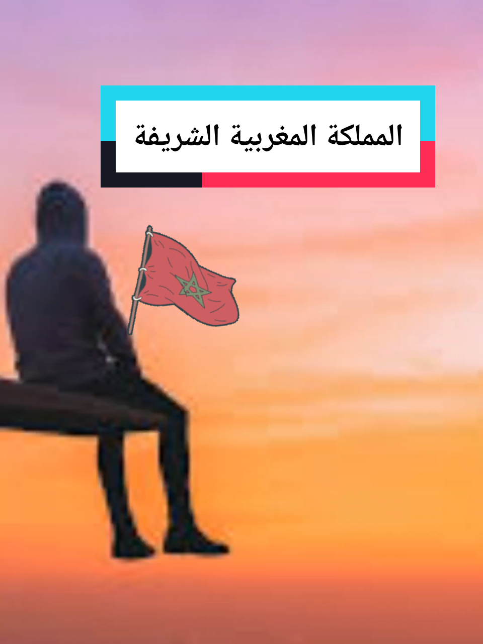 المملكة المغربية الشريفة اللهم احفظ بلدنا وملكنا الحبيب الله الوطن الملك ملكنا محمد السادس #الجالية_المغربية_في_كل_مكان💚 #المملكة_المغربية_الشريفة🇲🇦 #maroc #pourtoi 