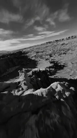 Without You 🖤 #withoutyou #avicii #lyrics #fyp #song #music 