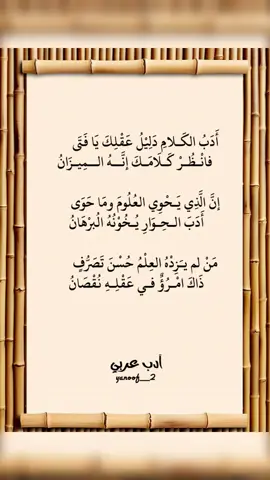 #أبيات_من_الشعر #أدب_عربي #تيك_توك 