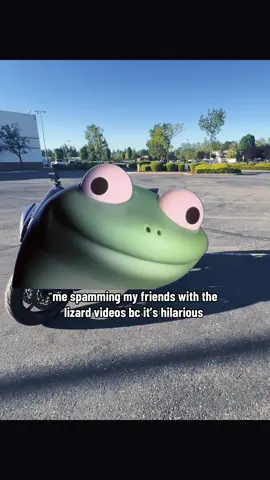 @Kamikazi_R1 don’t even look at them anymore 😂🤌🏼 #lizard #funny #Meme #fyp 