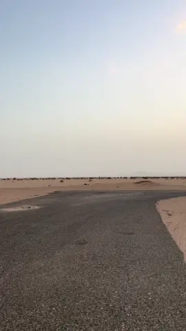 #ماشاء_الله #ملكززه 
